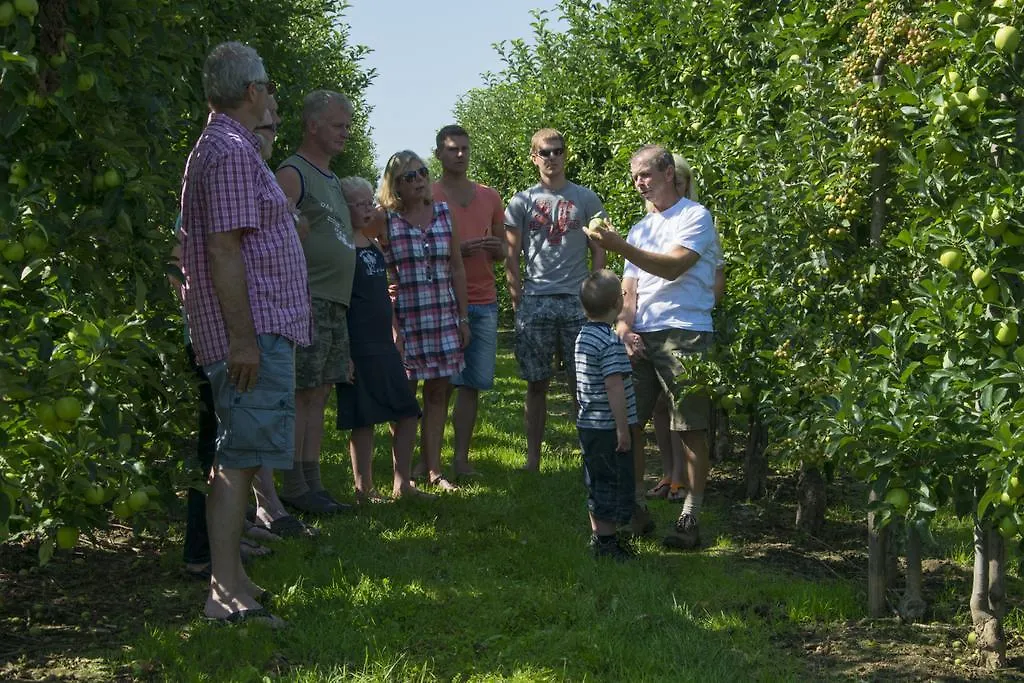 Vakantie Oord Zonnehoeve Valkenburg aan de Geul